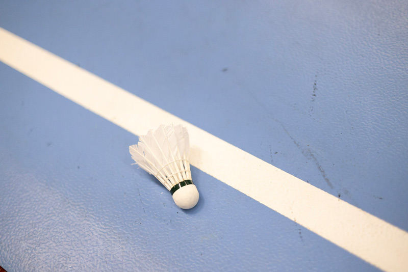 Nahaufnahme eines Federballs an einer Linie eines Badminton Platzes.