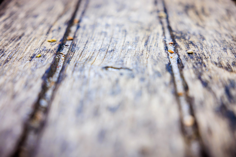 Nahaufnahme einer Holzfläche.